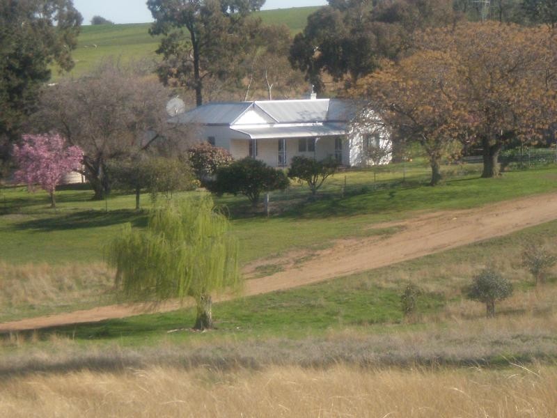 Burnie Road, Young NSW 2594