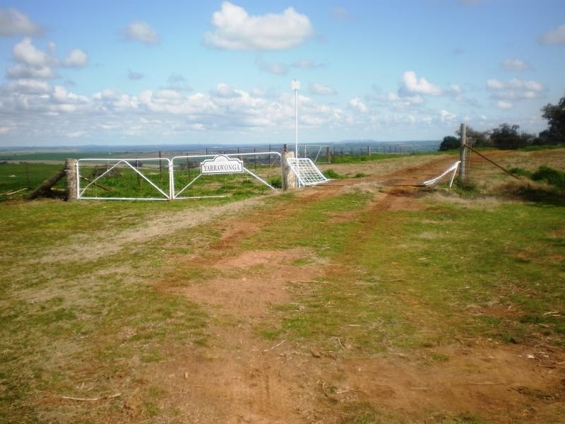 Burnie Road, Young NSW 2594