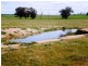 Burnie Road, Young NSW 2594