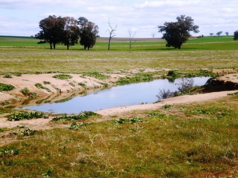 Burnie Road, Young NSW 2594