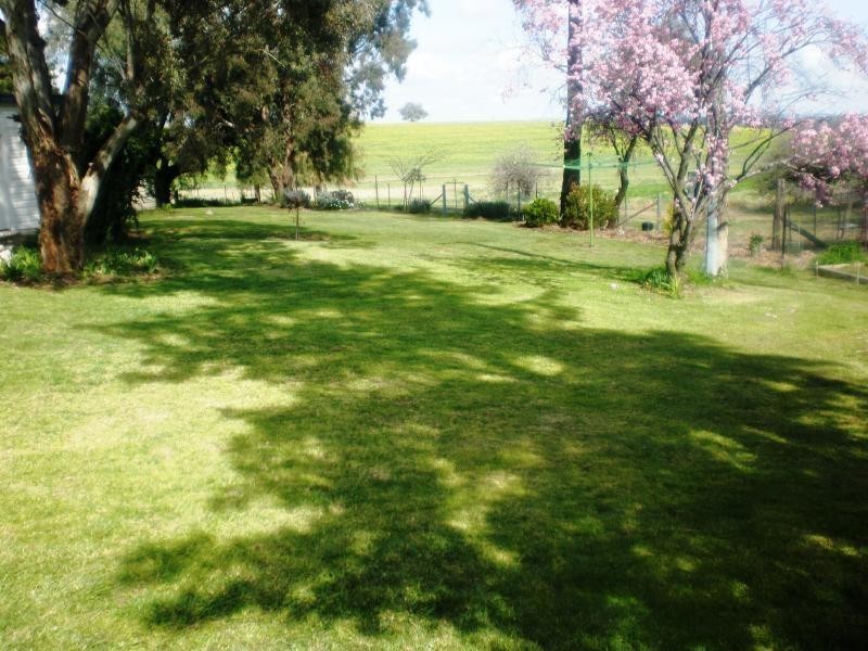 Burnie Road, Young NSW 2594