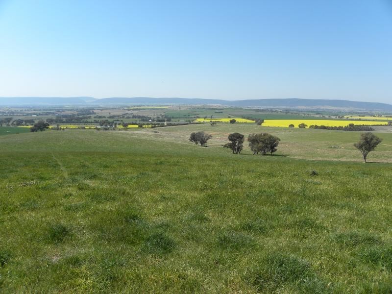 Back Block Buchanans Road, Wirrimah NSW 2803