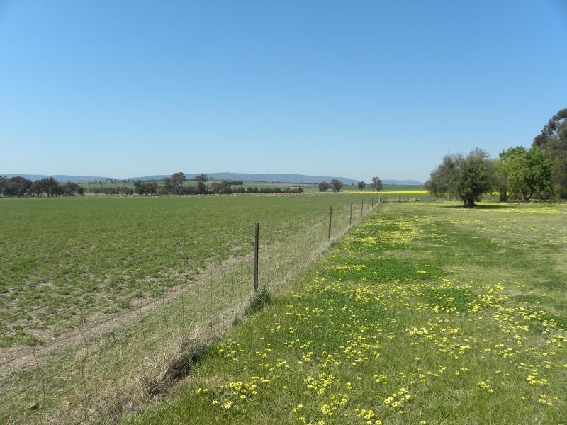 Back Block Buchanans Road, Wirrimah NSW 2803