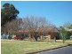 Young NSW 2594