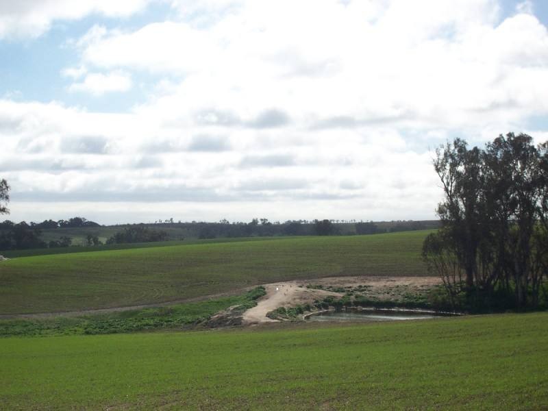 Young NSW 2594