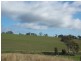 Young NSW 2594