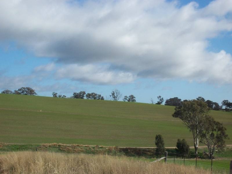 Young NSW 2594