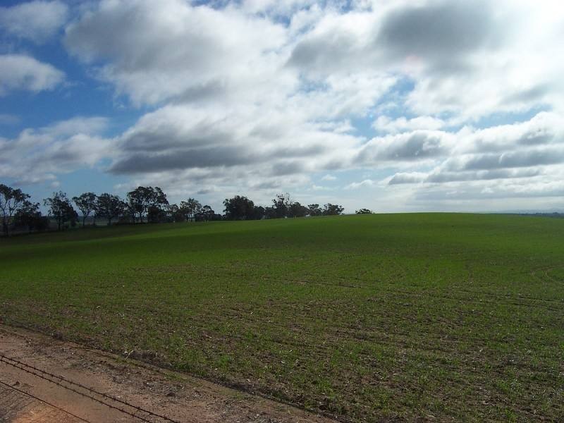 Young NSW 2594