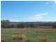Young NSW 2594