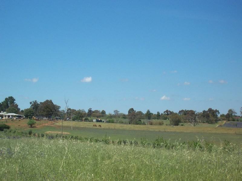 Young NSW 2594