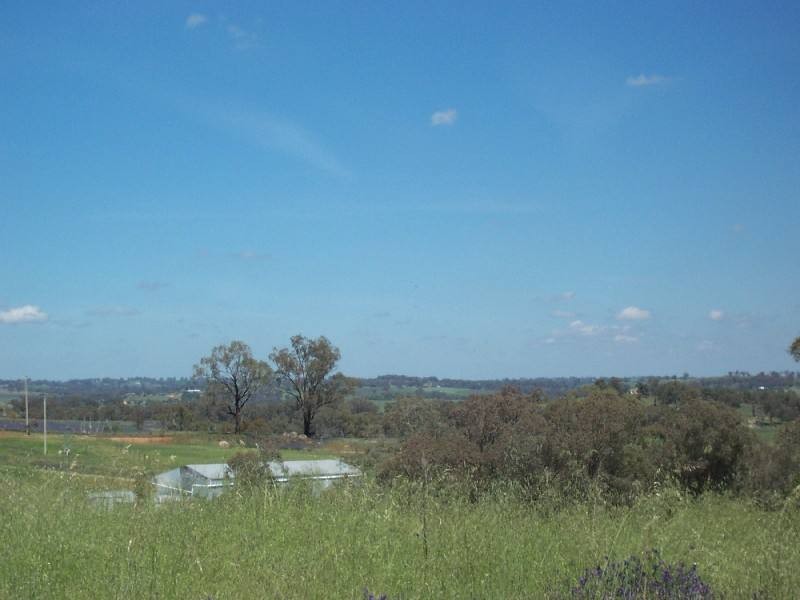 Young NSW 2594
