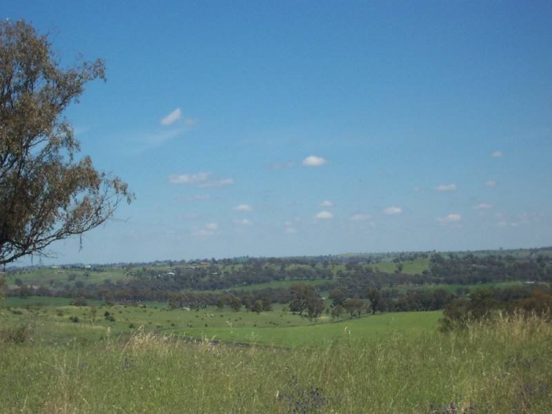 Young NSW 2594