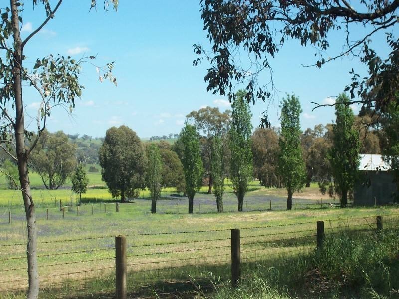 Young NSW 2594