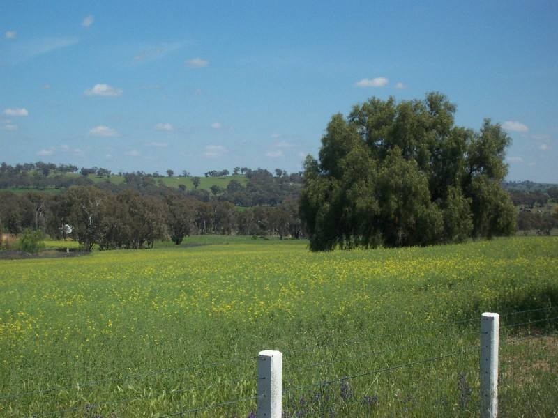 Young NSW 2594