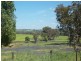 Young NSW 2594