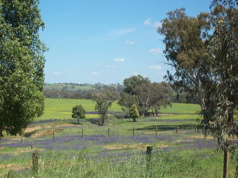 Young NSW 2594