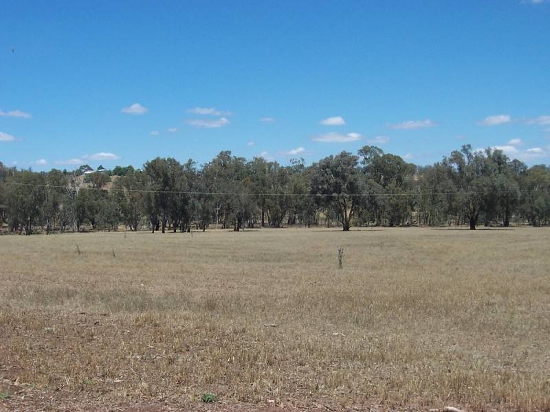 Young NSW 2594