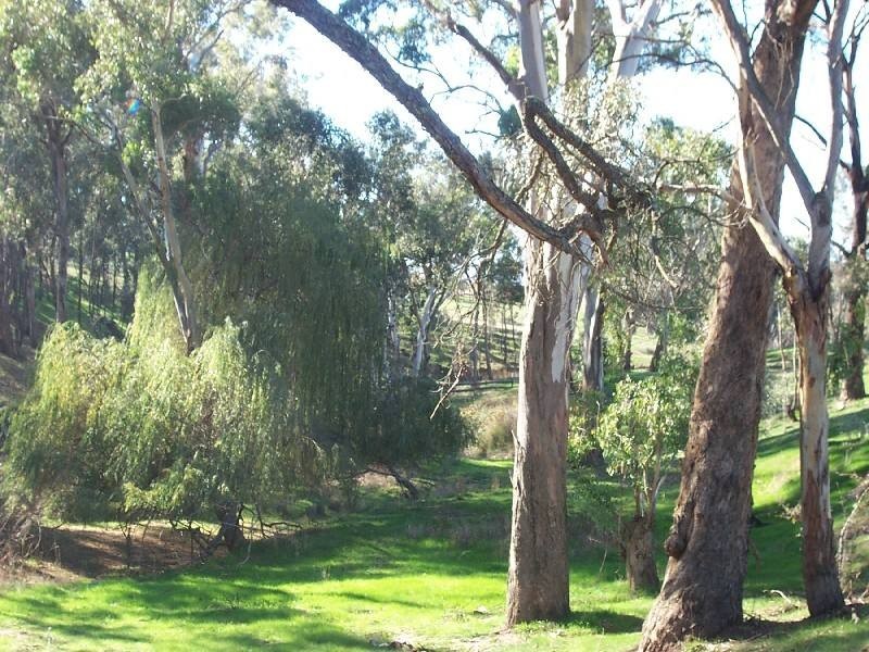 Young NSW 2594