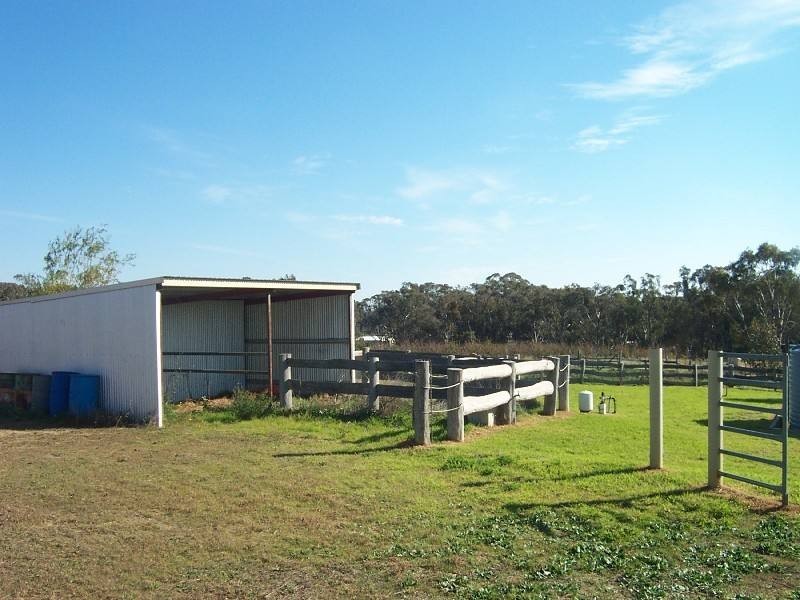 Young NSW 2594