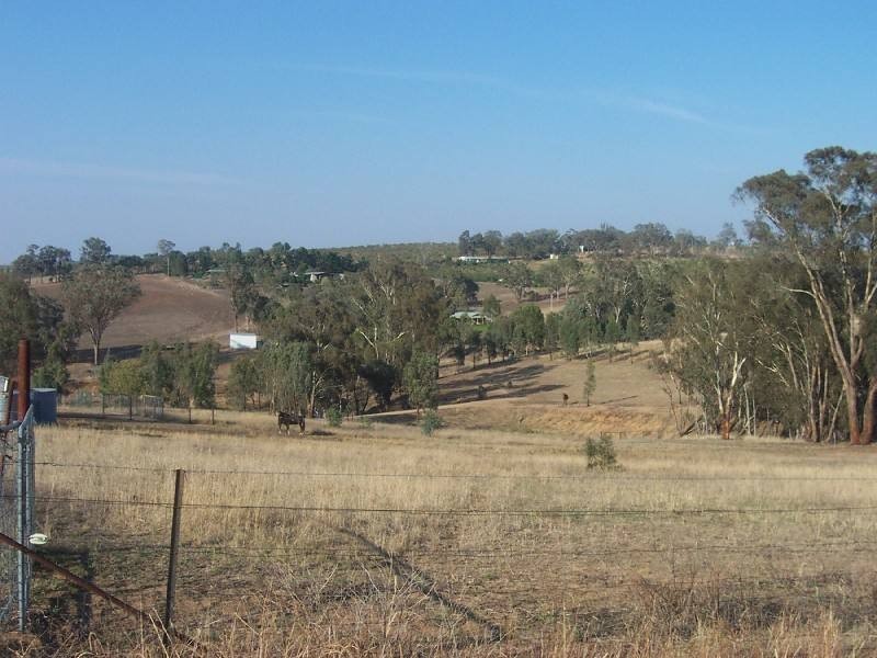 Young NSW 2594