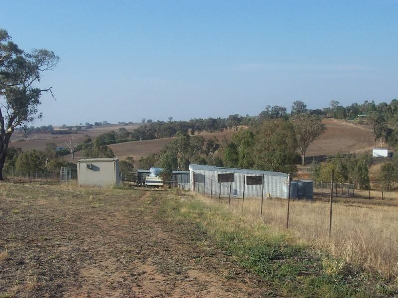 Young NSW 2594