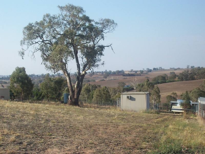 Young NSW 2594