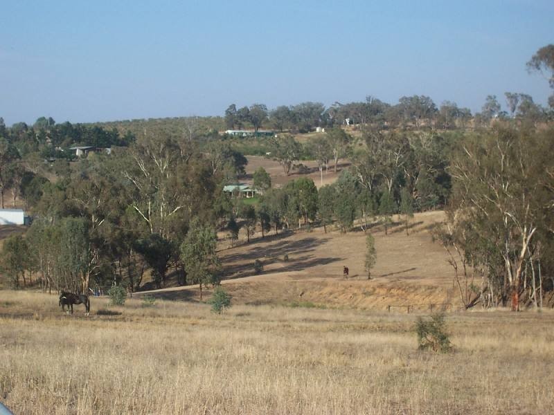 Young NSW 2594