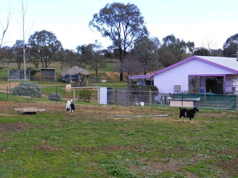 Young NSW 2594