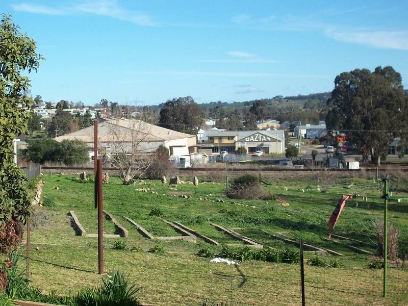 Young NSW 2594