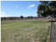 Young NSW 2594