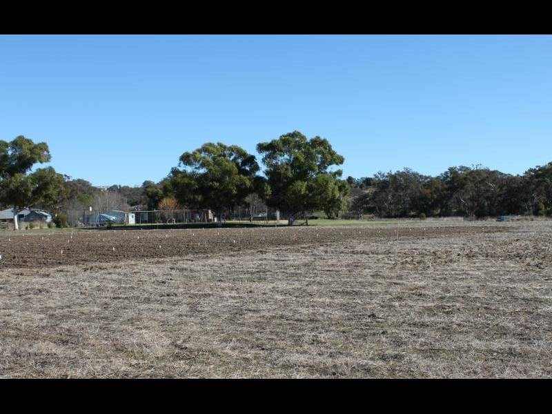 Young NSW 2594