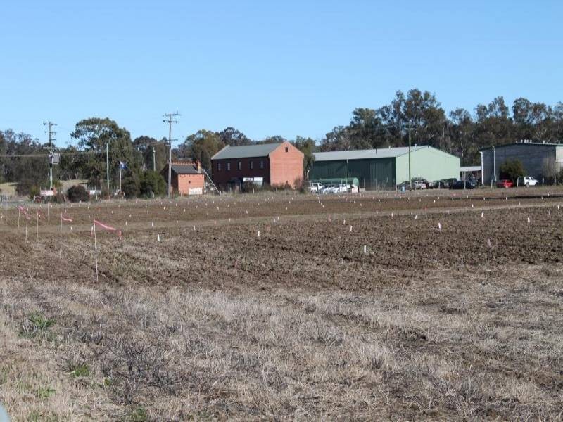 Young NSW 2594