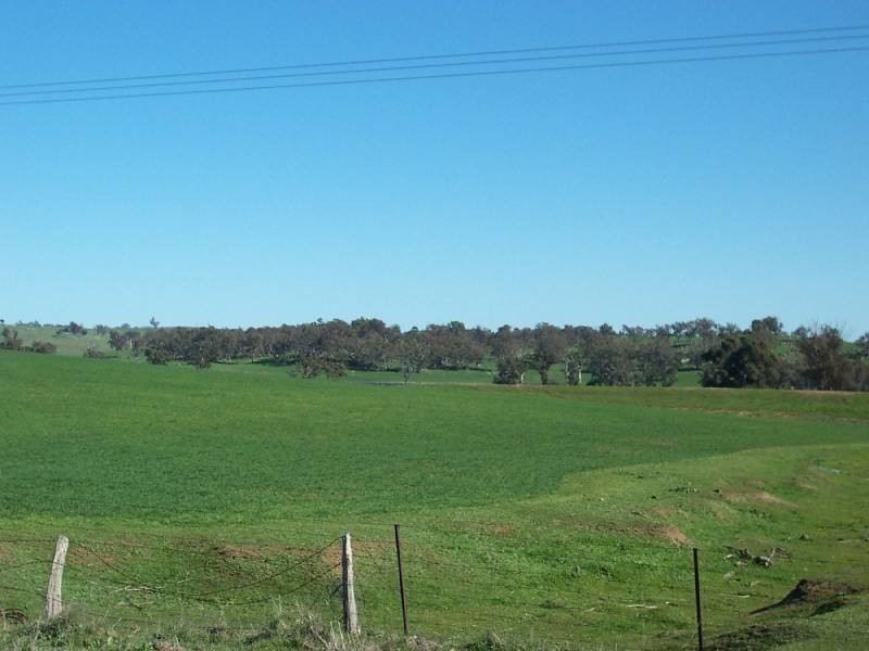 Young NSW 2594