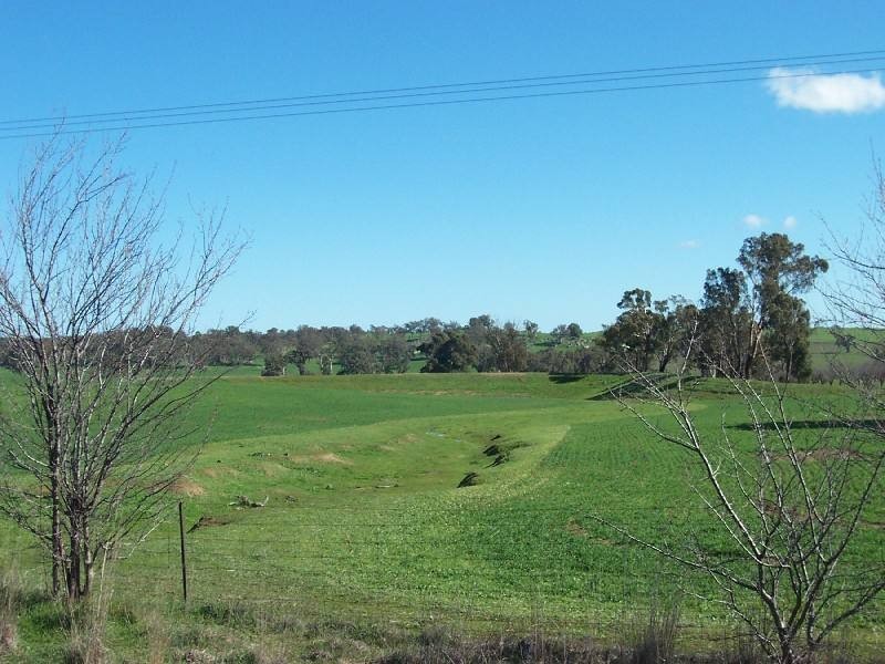 Young NSW 2594