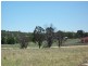 Young NSW 2594