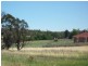 Young NSW 2594
