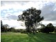 147 Willawong Street, Young NSW 2594