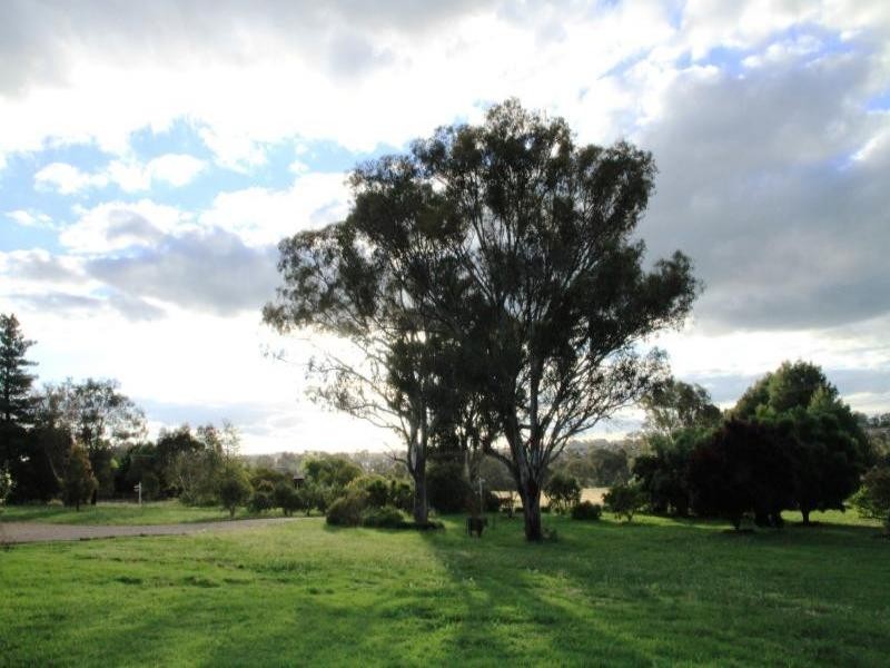 147 Willawong Street, Young NSW 2594