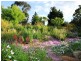 147 Willawong Street, Young NSW 2594