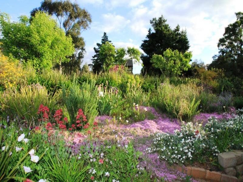 147 Willawong Street, Young NSW 2594