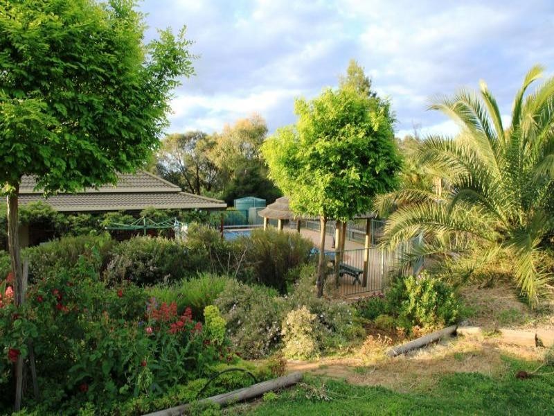 147 Willawong Street, Young NSW 2594