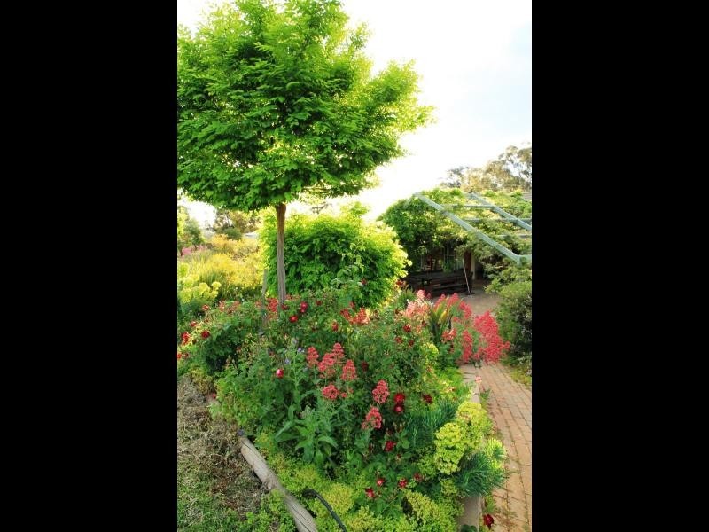 147 Willawong Street, Young NSW 2594