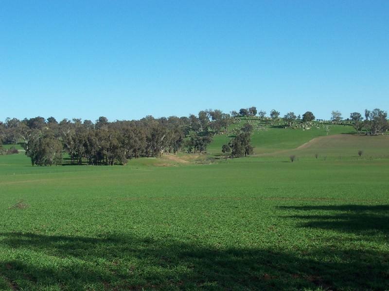 Young NSW 2594