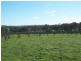 Young NSW 2594