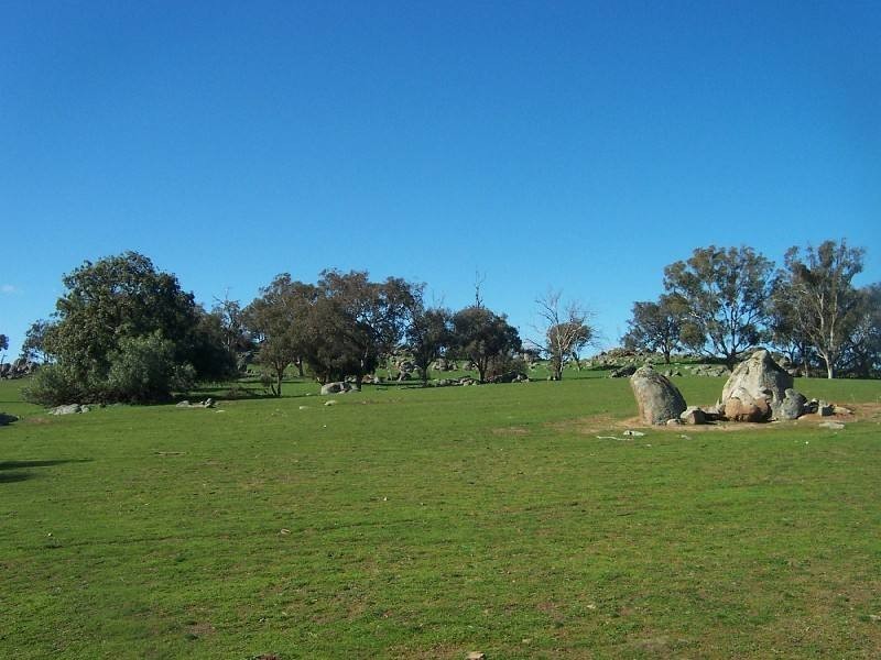 Young NSW 2594