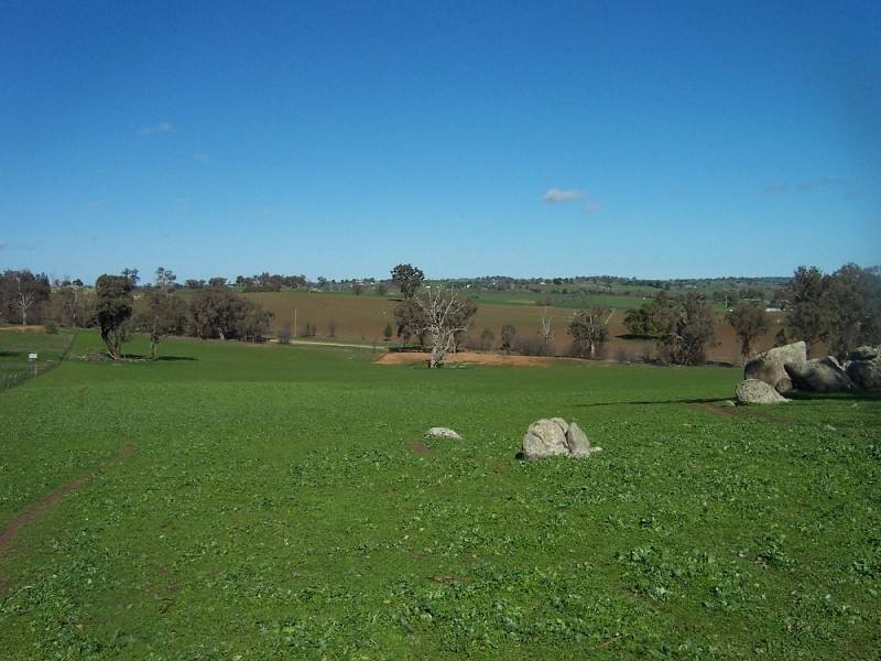 Young NSW 2594