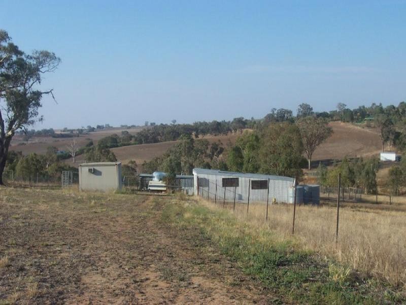 50 Donges Road, Young NSW 2594