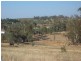 50 Donges Road, Young NSW 2594