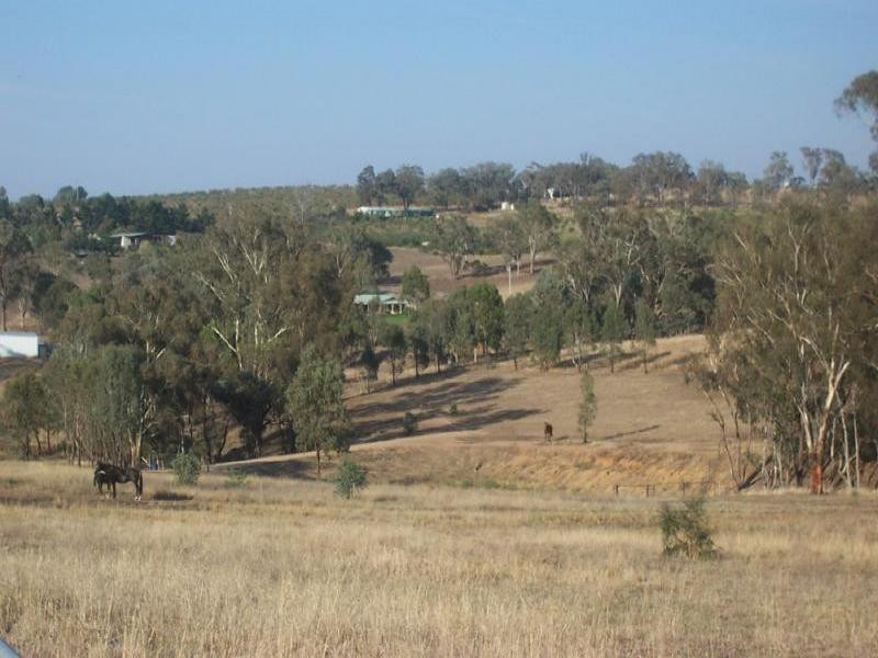 50 Donges Road, Young NSW 2594