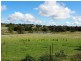30 Kellys Road, Young NSW 2594